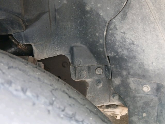 290.jpg