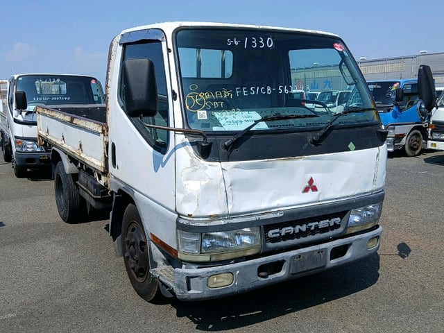 291.jpg