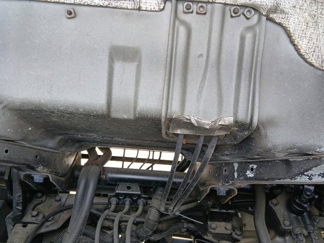 293.jpg
