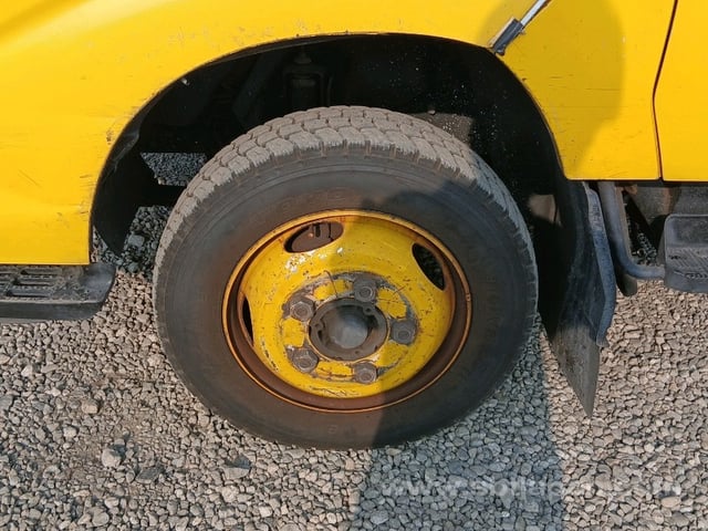 29.jpg