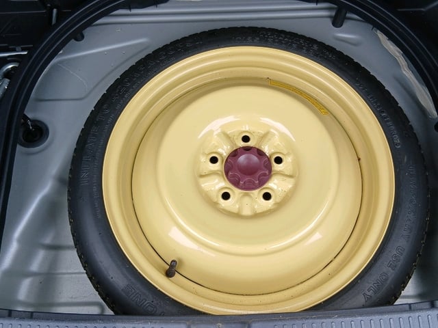 286.jpg