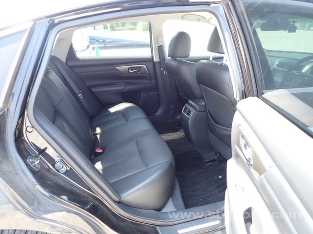 15.jpg