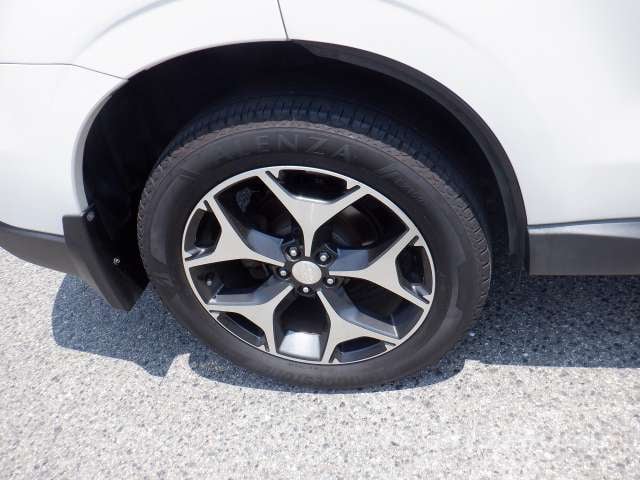 21.jpg