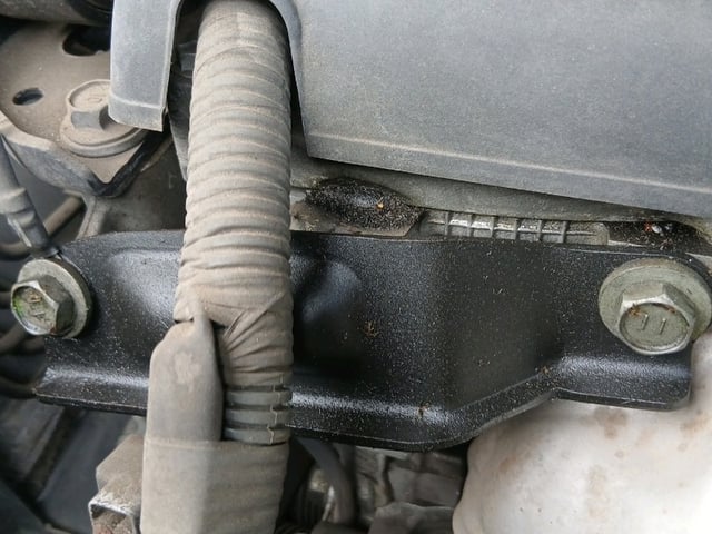 281.jpg