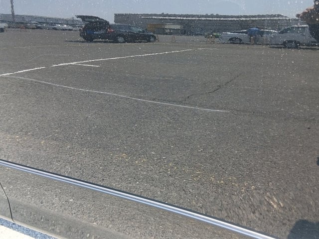 285.jpg