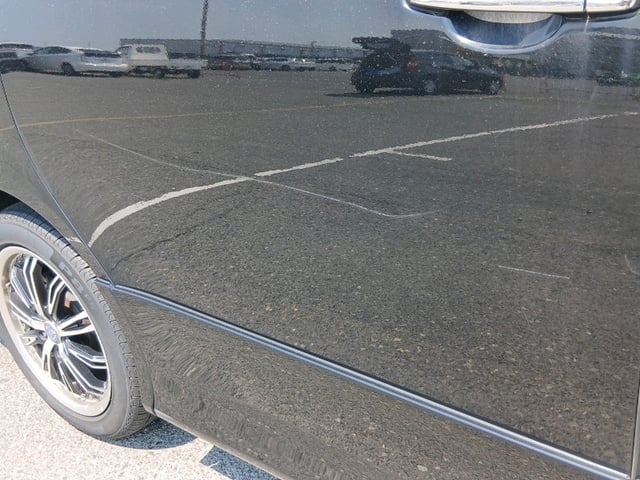 286.jpg
