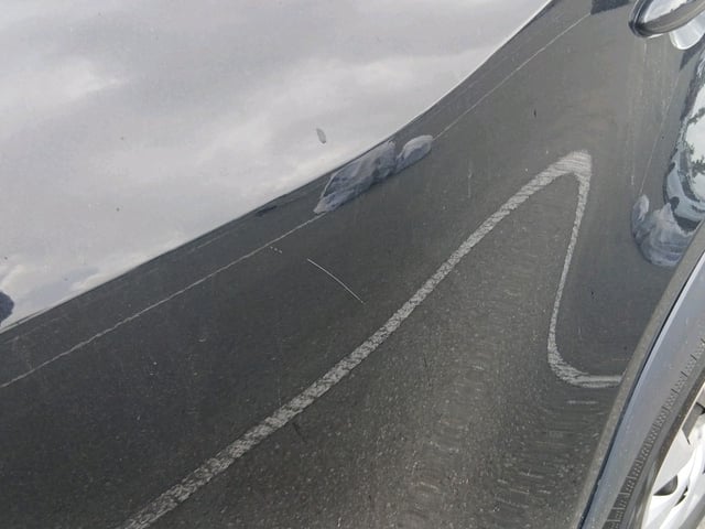 287.jpg