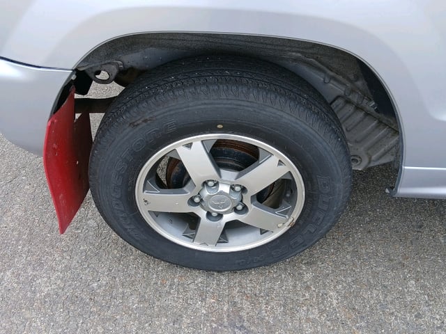 294.jpg