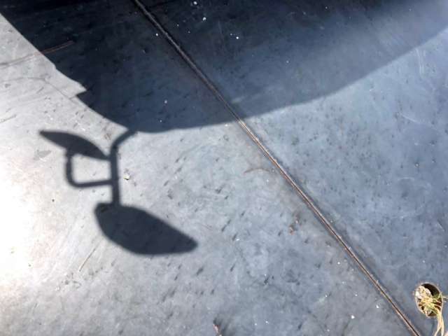 283.jpg