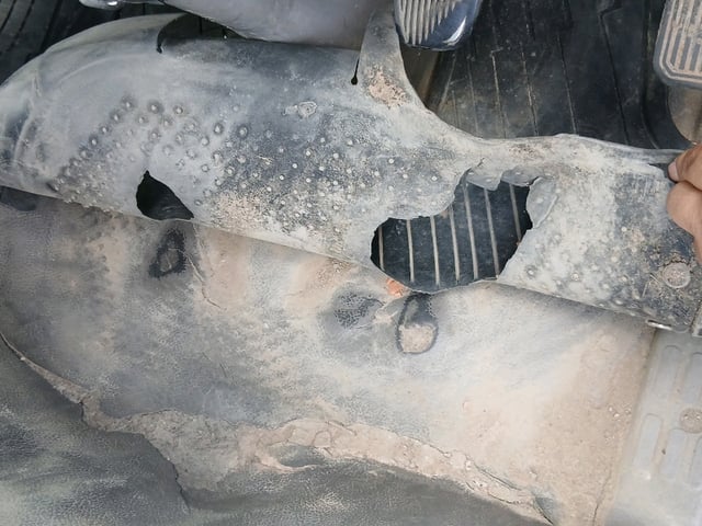 280.jpg