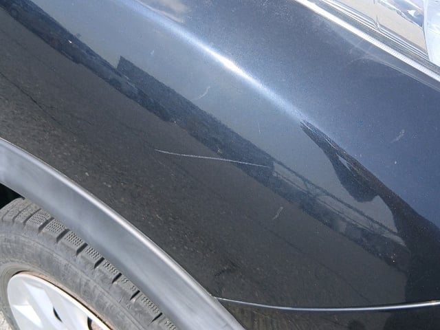 283.jpg
