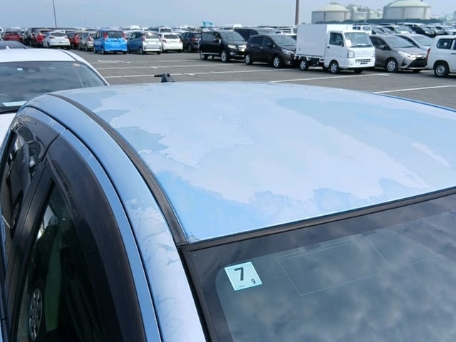 284.jpg
