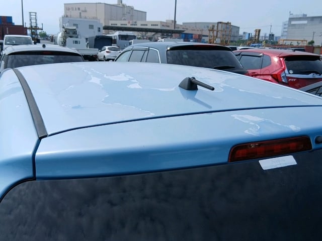 286.jpg