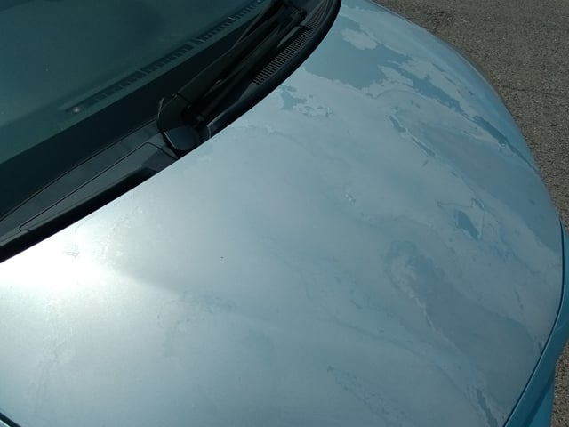 288.jpg