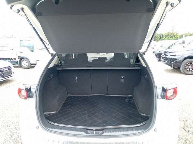 39.jpg