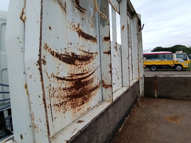 295.jpg