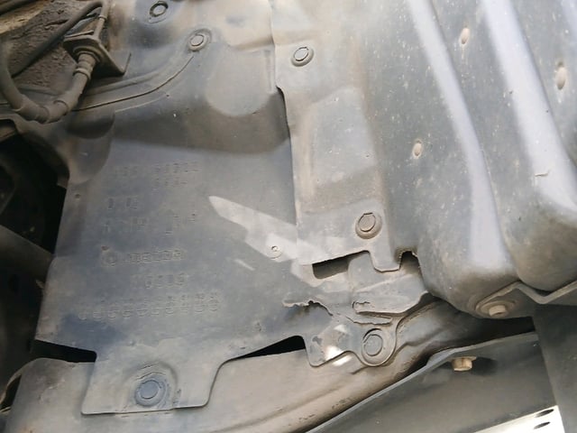 282.jpg
