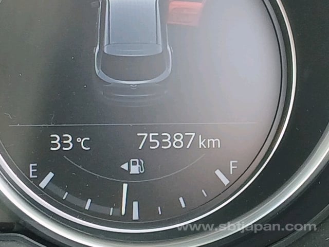 33.jpg