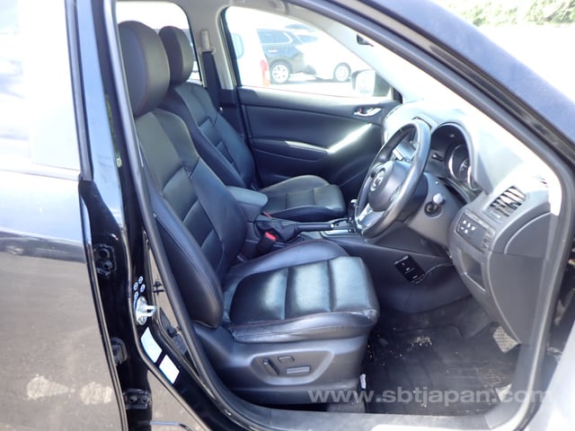 31.jpg