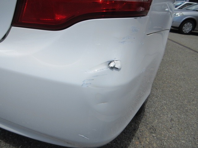 281.jpg