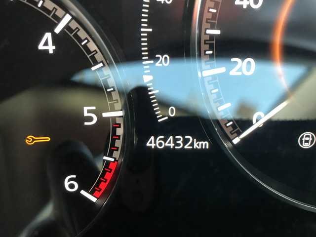 284.jpg