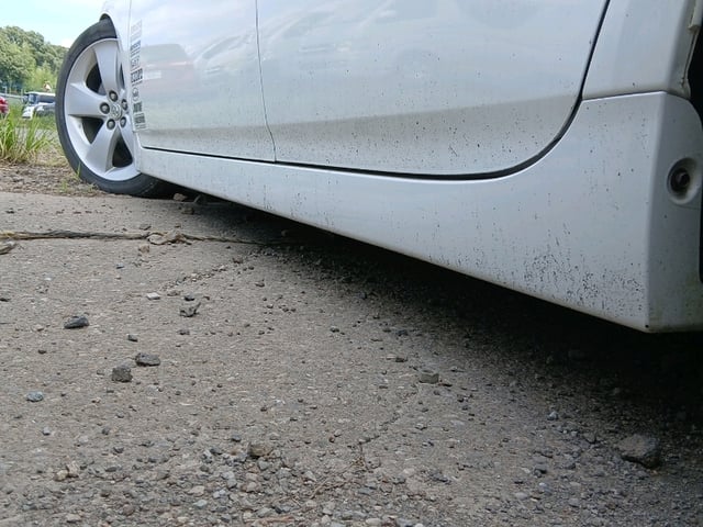306.jpg