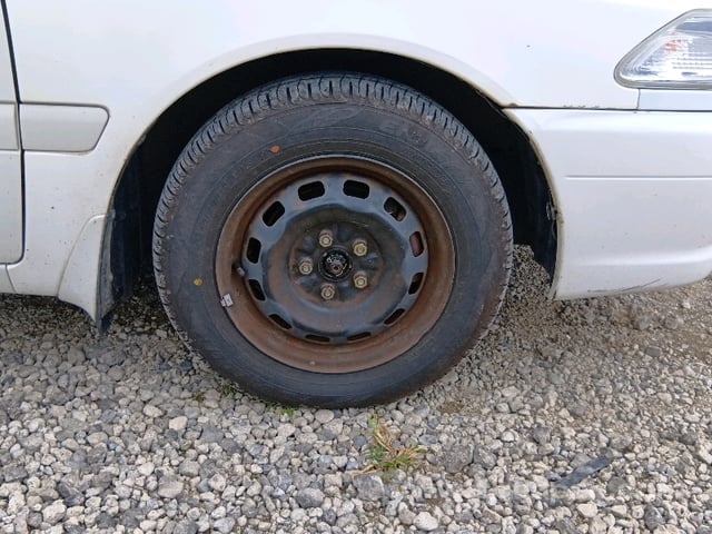 31.jpg