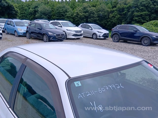 39.jpg