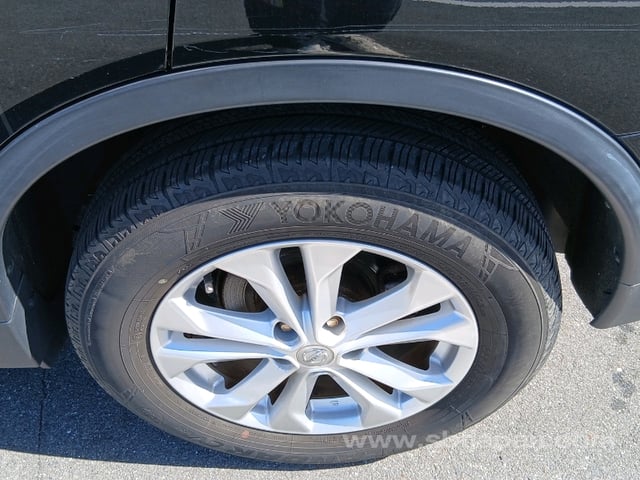 13.jpg