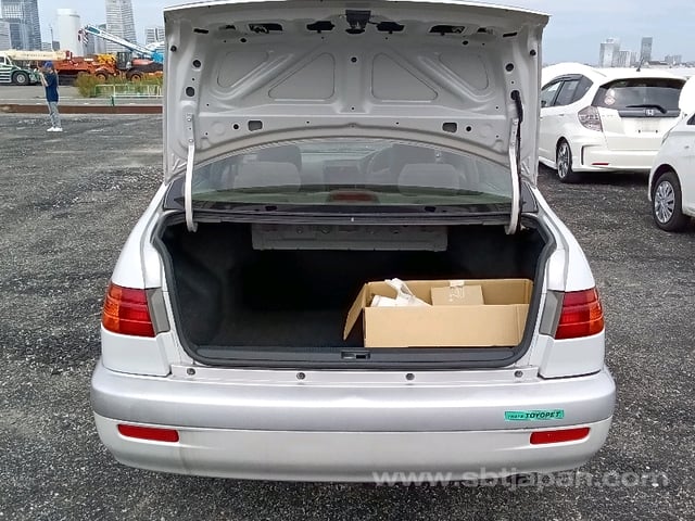 28.jpg