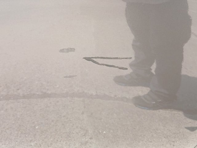 281.jpg
