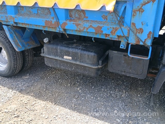 19.jpg