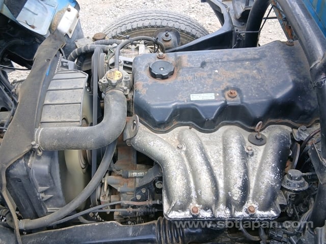 29.jpg