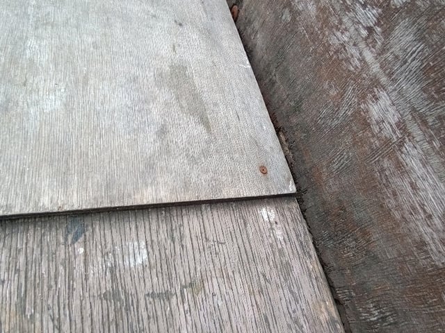 282.jpg