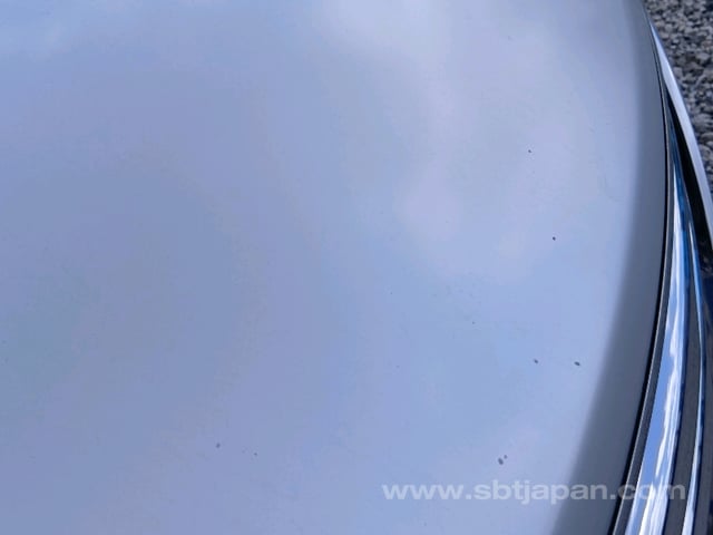 42.jpg