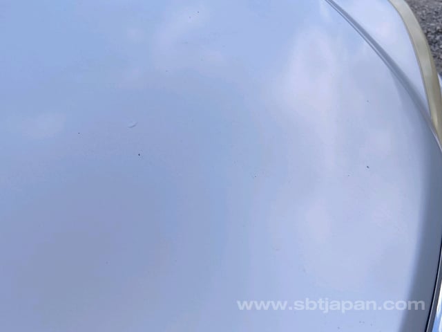 43.jpg