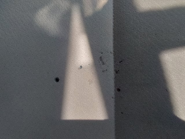 283.jpg