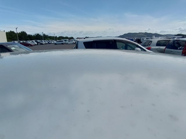 283.jpg