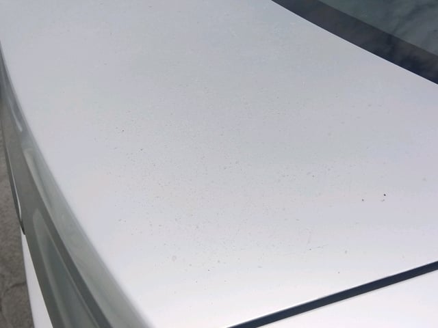 309.jpg