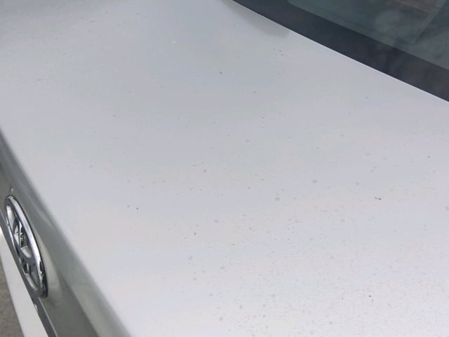 310.jpg