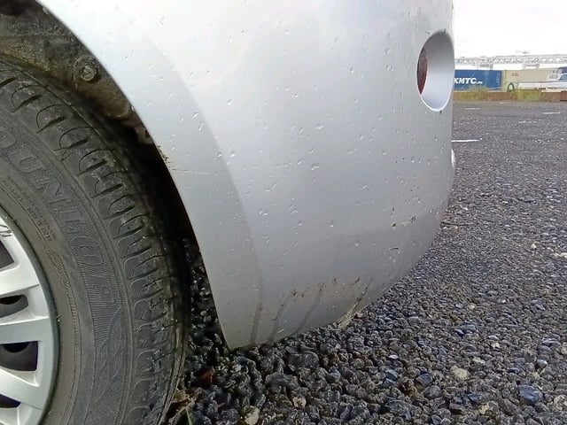 303.jpg