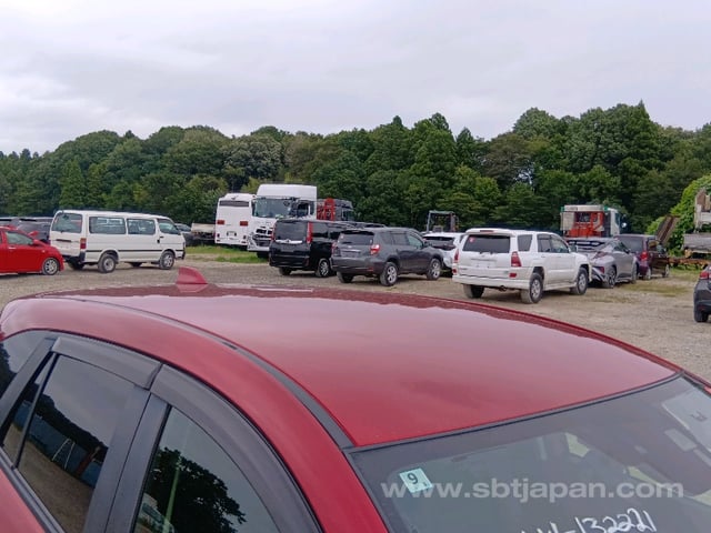41.jpg
