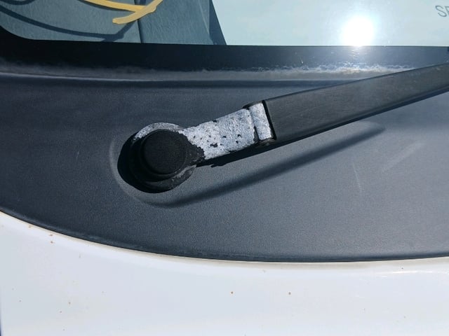280.jpg