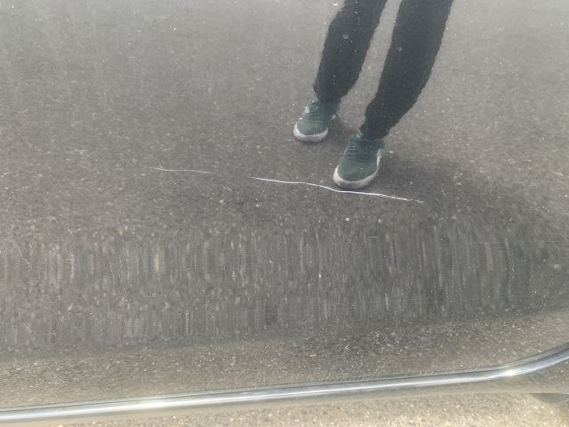 280.jpg