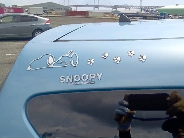282.jpg