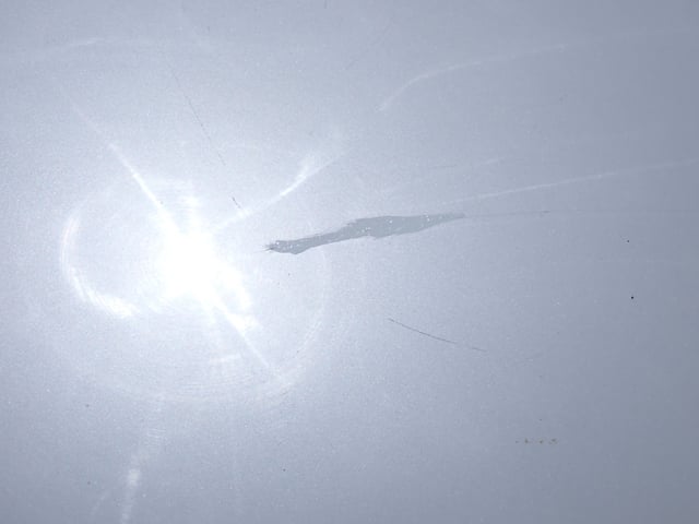 281.jpg