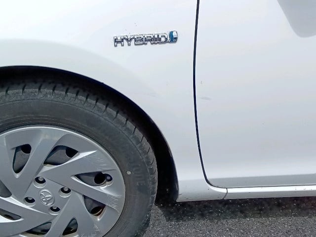 281.jpg