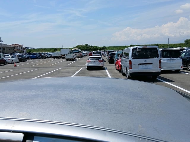 281.jpg