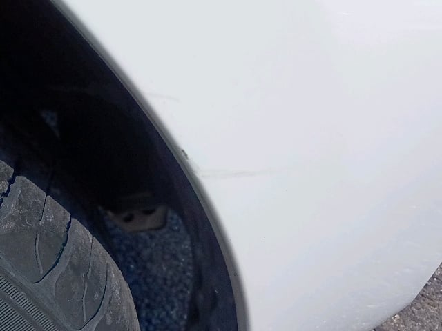 283.jpg