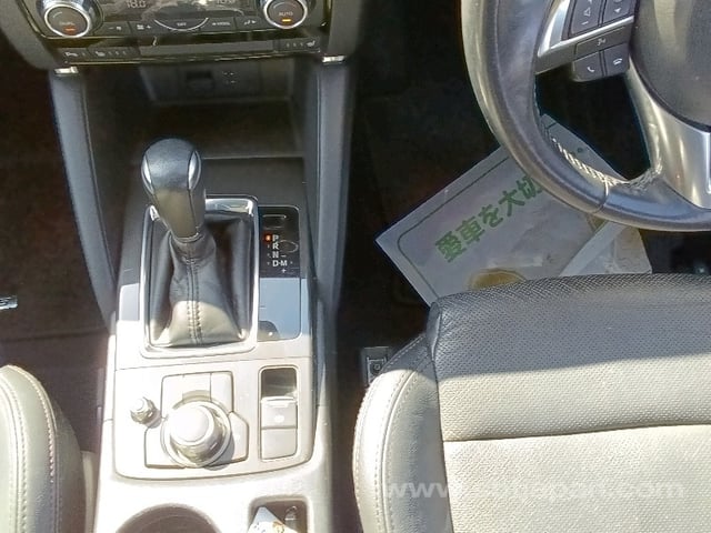 21.jpg